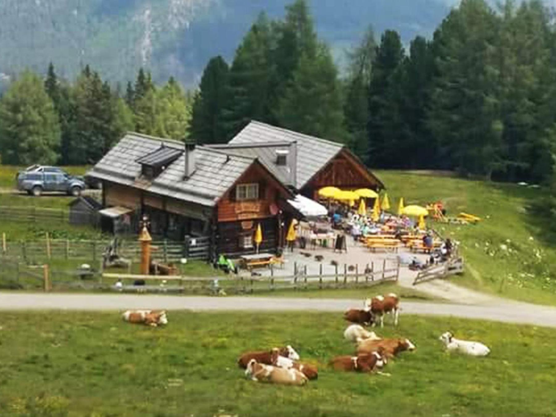 Appartementhaus Samson Fanningberg Weisspriach Buitenkant foto
